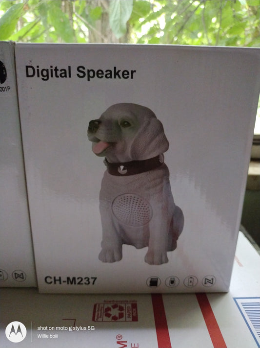 Lab digital speaker 🔊